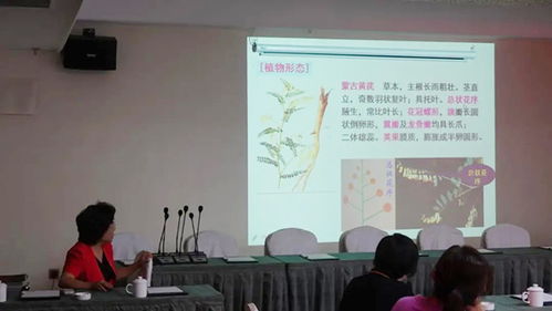 科技创新的引擎 —— 北京企业技术开发研究所以卓越开发引领行业前行